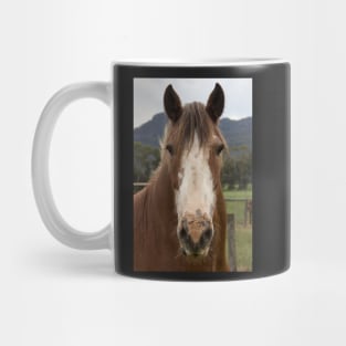 Rosie, the Clydesdale. Mug